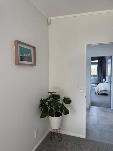 a white room with a plant on the wall at Stylish Private Apartment, Close to Ferry, Stadium, Parking in Wellington