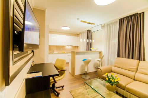 TV a/nebo společenská místnost v ubytování Cluj Business Class