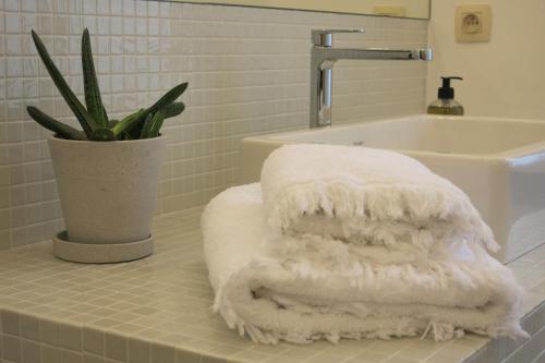Baño con toallas en una encimera junto a un lavabo en Burgstraat 8 en Gante