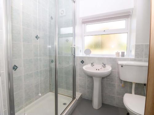 a bathroom with a shower and a sink and a toilet at Dalar Deg in Rhiw