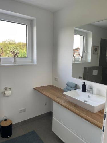 a bathroom with a white sink and a mirror at Schoberblick in Thalgau