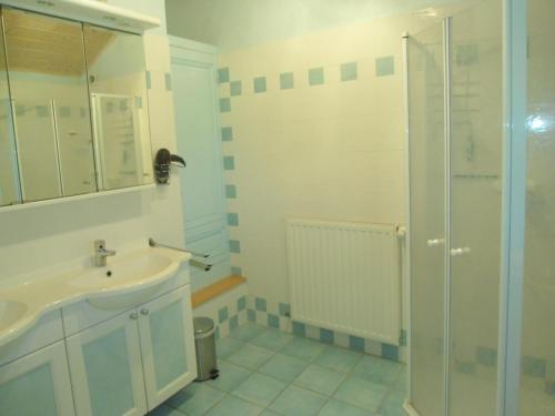 a bathroom with a sink and a shower at Domaine des Charmilles in Mantenay-Montlin