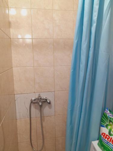 a shower with a blue shower curtain in a bathroom at Apartman Radoman in Cetinje