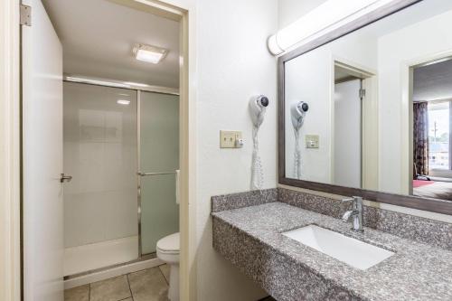 a bathroom with a sink and a mirror at Econo Lodge Thomasville in Thomasville