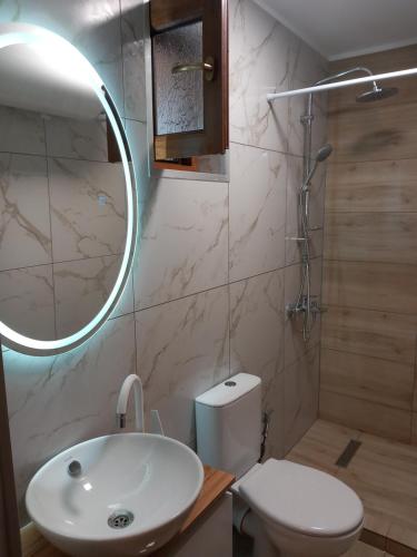 a bathroom with a sink and a toilet and a mirror at Къща за гости "НА СЕЛО" Грохотно in Devin