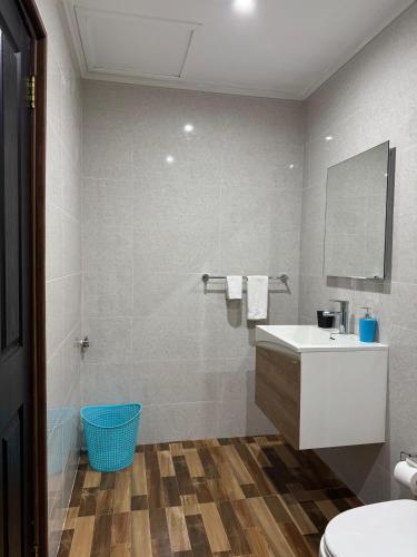 a bathroom with a white sink and a mirror at Paul's Residence in Mahe