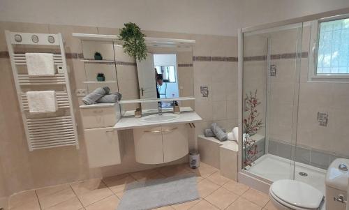 a bathroom with a sink and a shower and a toilet at Chez Christine in Callian