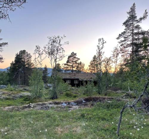 a house in the middle of a field with trees at Cabin With Rauland Mountain Views in Rauland