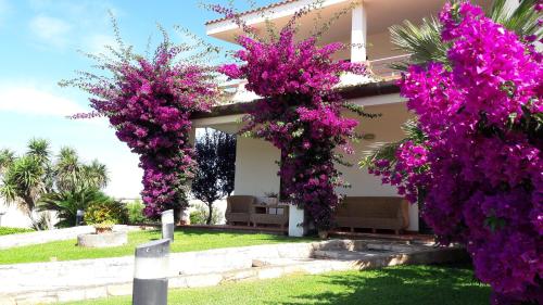 Le Schiavelle – Photos 4