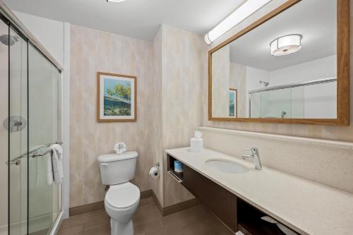 a bathroom with a toilet and a sink and a mirror at Hampton Inn Naples - I-75 in Naples