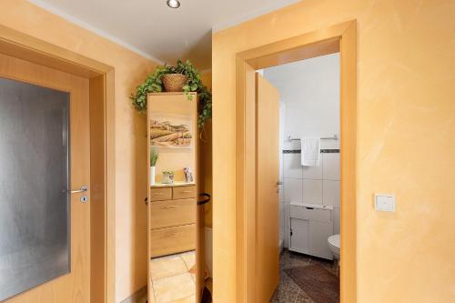 a bathroom with a sink and a toilet in a room at Villa am Keltenberg - La Stella in Glauburg