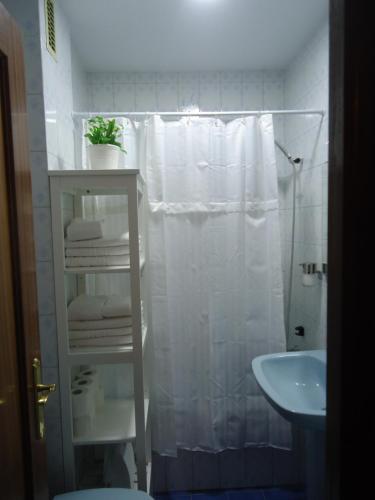y baño con cortina de ducha y lavamanos. en Apartamentos Acevedo Centro I, en Ronda