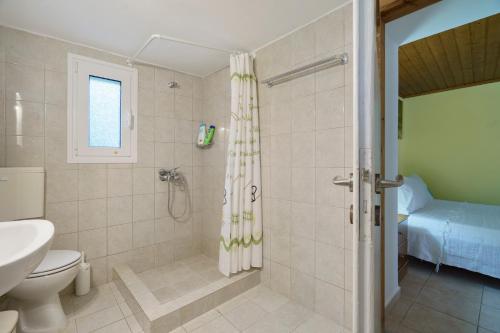 a bathroom with a shower and a toilet and a sink at Studio Liana in Frikes