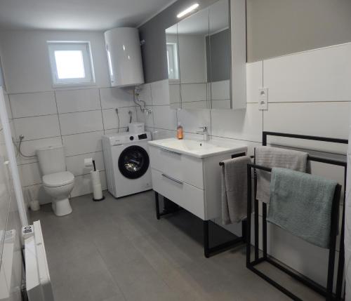 a bathroom with a washing machine and a sink at JundJ Ferienwohnungen in Buzsák