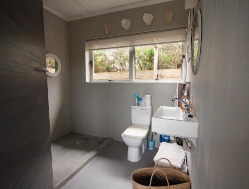 a bathroom with a toilet and a sink and a window at Betty's Bay Cottage in Bettyʼs Bay