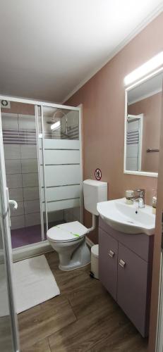 a bathroom with a toilet and a sink at Casa Martin in Sulina