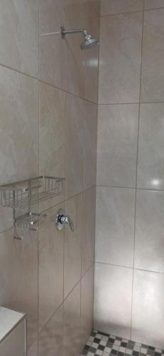 a shower with a glass door in a bathroom at Inyati Guest House in Marloth Park