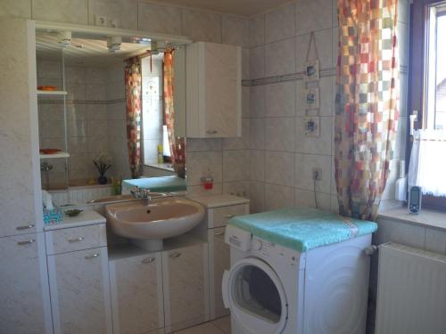 a bathroom with a washing machine and a sink at Ferienwohnung Selkeblick in Falkenstein