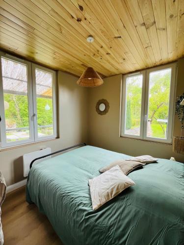 a bedroom with a large green bed with windows at La maisonnette au bord de l eau in Grimaucourt-près-Sampigny