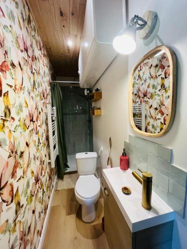 a bathroom with a toilet and a sink at La maisonnette au bord de l eau in Grimaucourt-près-Sampigny