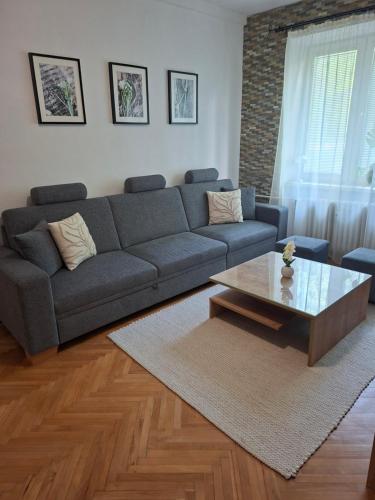 Luna apartment with free parking
