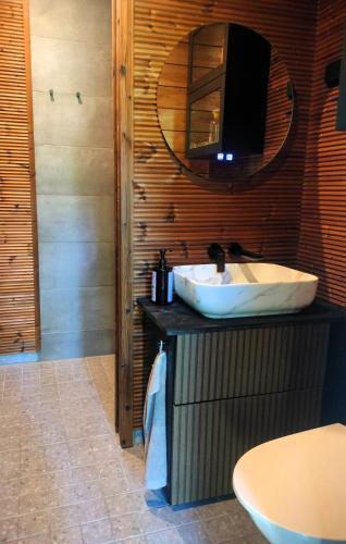 a bathroom with a sink and a mirror at Villa Vaalanto in Pomarkku