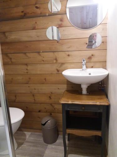 a bathroom with a sink and a toilet and a mirror at Le Chalet du Clos Giot in Saint-Vaast-la-Hougue