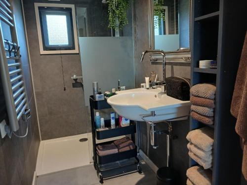 a bathroom with a sink and a shower at Vechtdal Chalet de Wilg in Rheezerveen