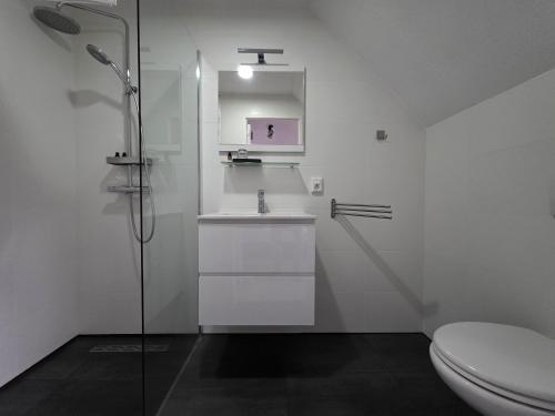 a bathroom with a toilet and a sink and a shower at B&B Bokkeleane in Kolderwolde