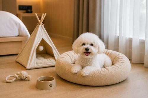 a small white dog sitting in a dog bed at 호텔 꿀밤스테이 in Sacheon