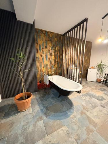 a bathroom with a bath tub and a potted plant at CASA Don Lucio in Craiova