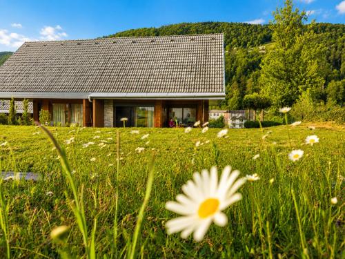 a house in a field with a flower in the grass at Renovated Apartment ŽAJBELJ near Terme Topolšica in Topolšica