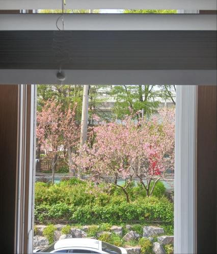 a window with a view of a tree with pink flowers at K Hubhouse - Taereung stn 5min walk#villa 4pax in Seoul