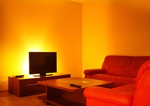 シュチェチンにあるApartament Luxusのリビングルーム(テレビ、ソファ、テーブル付)