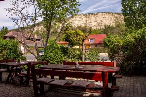 a wooden table and benches with a mountain in the background at Bringatanya in Balatonkenese