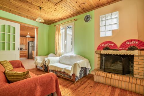 a living room with green walls and a fireplace at Villa Liana in Frikes