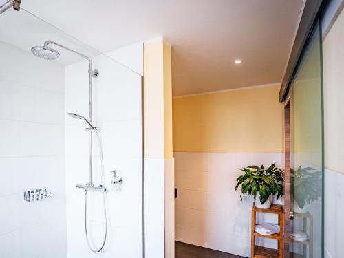 a bathroom with a shower and a plant at Hotel Zur Heide in Aachen