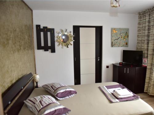 a bedroom with two beds and a television in it at Pensiunea Dely_Cios in Vălenii de Munte