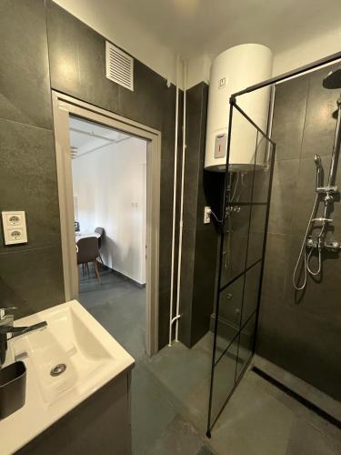 a bathroom with a shower and a white sink at Sweet Escape Pécs in Pécs