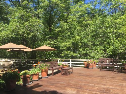 a deck with benches and umbrellas and potted plants at The Jack London Lodge in Glen Ellen