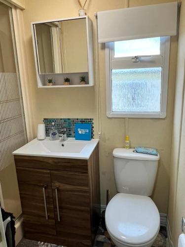a bathroom with a toilet and a sink and a mirror at Willows Retreat in Reighton