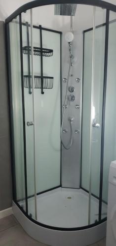 a shower with a shower head in a bathroom at Appart Allée des chênes in Furiani