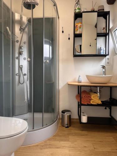 a bathroom with a shower and a sink at Ferienhaus Ferienwohnung Petermännchen in Westerburg