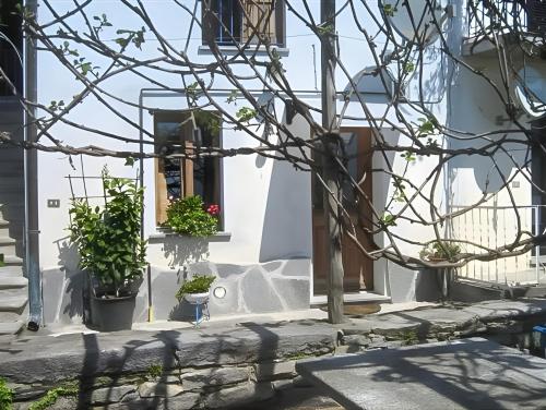 a white house with potted plants in front of it at Il Pergolato in Cannero Riviera
