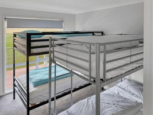 two bunk beds in a room with a window at Spotted Gum -Merrijig in Merrijig