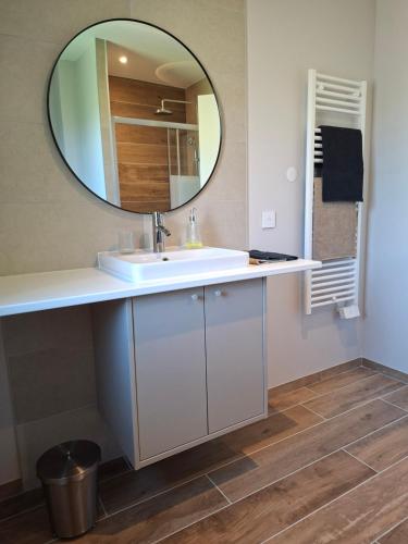 a bathroom with a sink and a mirror at Maison du Bord du Rhône in Saint-Pierre-de-Boeuf