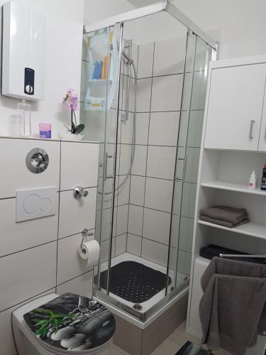 a shower with a glass enclosure in a bathroom at Apartment am Kaiserplatz in Düren - Eifel
