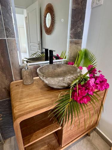 a bathroom with a sink and a mirror at Villa Docéa in Sainte-Anne