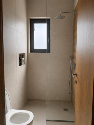 a bathroom with a shower with a toilet and a window at Smovolo houses 1 in Agios Sostis