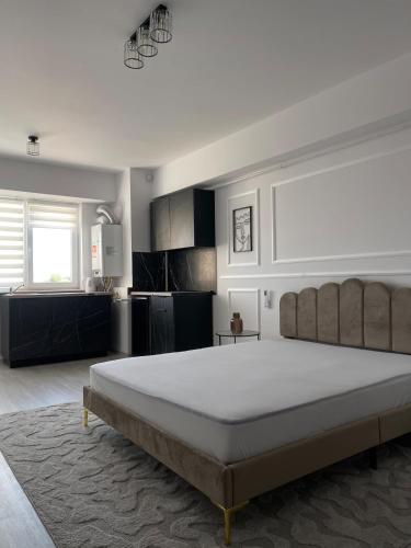 a bedroom with a large bed in a room at Soho Studio Fial in Bacău